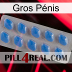 Gros Pénis 22
